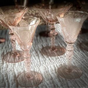 Elegant Pink Etched Wine Glass Set